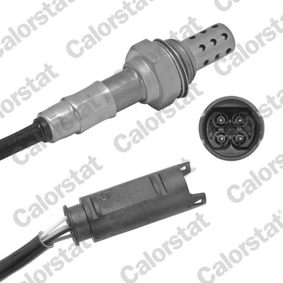 Oxygen Sensor